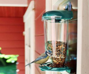 Vogelvoederstation Met Zuignap - Vandaag 1+1 GRATIS! ...