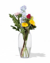 HEMA Vaas 29cm glas (transparant)