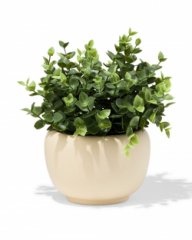 HEMA Bloempot ⌀10x10.4cm keramiek crème (creme)