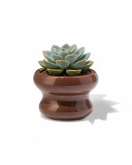 HEMA Bloempot ⌀13x9cm keramiek blob bruin (donkerbruin)