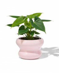 HEMA Bloempot ⌀13x9cm keramiek blob spikkel roze (roze)